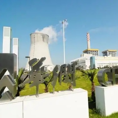 安徽華陽CEMS伴熱取樣管在阜陽華潤電力投入使用